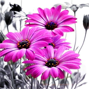 y10%OFFN[|zzz hJLbg 5D  _ChA[g Lbg r[YhJ t _ChyCeBOCeA  nhCh NXXeb` _CAhA