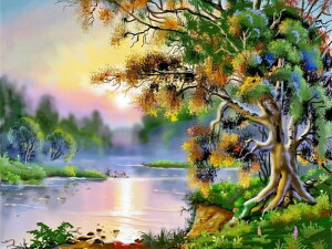 y10%OFFN[|zzz hJLbg 5D i _ChA[g Lbg r[YhJ t _ChyCeBOCeA  nhCh NXXeb` _CAh