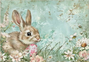 yN[|p10%OFFz hJLbg  5D _ChA[g Lbg r[YhJ S _ChyCeBOCeA  nhCh NXXeb` _CA