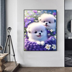 y10%OFFN[|zzz hJLbg 5D ^ 킢 _ChA[g Lbg r[Y ㋉Ҍ t _ChyCeBOCeA  nhCh NX