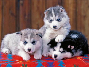 y20-30I15%OFFN[|zzz hJLbg 5D _ChA[g r[YhJ    S _ChyCeBOCeA  nhCh NXXeb` _