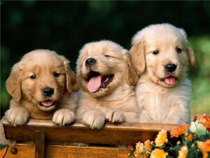 y2-10I15%OFFN[|zzz hJLbg 5D _ChA[g r[YhJ    S _ChyCeBOCeA  nhCh NXXeb` _C