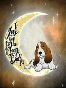 y10%OFFN[|zzz hJLbg 5D _ChA[g r[YhJ    S _ChyCeBOCeA  nhCh NXXeb` _CA