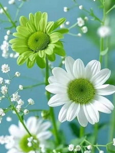 yN[|p10%OFFz hJLbg 5D _ChA[g Lbg  r[YhJ t _ChyCeBOCeA nhCh NXXeb` _CAhA[g}