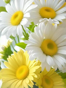 yN[|p10%OFFz hJLbg 5D _ChA[g Lbg  r[YhJ t _ChyCeBOCeA nhCh NXXeb` _CAhA[g}