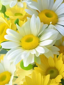 y1-7IN[|p15%OFFz hJLbg 5D _ChA[g Lbg  r[YhJ t _ChyCeBOCeA nhCh NXXeb` _CAhA