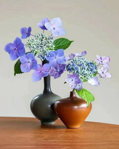 y10%OFFN[|zzz hJLbg 5D _ChA[g Lbg r[YhJ  S _ChyCeBOCeA  Ǐ nhCh NXXeb` _CA