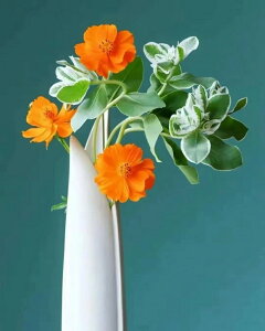 y10%OFFN[|zzz hJLbg 5D _ChA[g Lbg r[YhJ  S _ChyCeBOCeA  Ǐ nhCh NXXeb` _CA