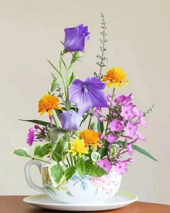 y10%OFFN[|zzz hJLbg 5D _ChA[g Lbg r[YhJ  S _ChyCeBOCeA  Ǐ nhCh NXXeb` _CA