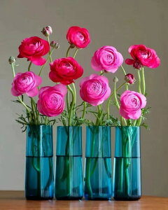 y10%OFFN[|zzz hJLbg 5D _ChA[g Lbg r[YhJ  S _ChyCeBOCeA  Ǐ nhCh NXXeb` _CA