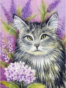 yN[|p10%OFFz hJLbg 5D_ChA[g Lbg r[YhJ L  S _ChyCeBOCeA  nhCh NXXeb` _CA