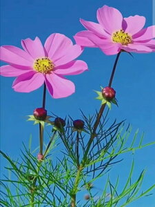 yN[|p10%OFFz hJLbg 5D _ChA[g r[YhJ A  S _ChyCeBOCeA  nhCh NXXeb` _CAhA