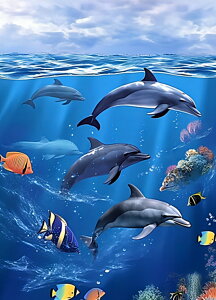 y10%OFFN[|zzz hJLbg C 邩 5D_ChA[g Lbg r[YhJ S _ChyCeBOCeA  nhCh NXXeb` _C