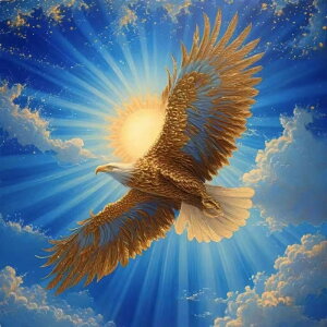 y10%OFFN[|zzz hJLbg 5D_ChA[g Lbg r[YhJ h IIV S 5D_Ch yCeBOCeA  nhCh NXXeb` _