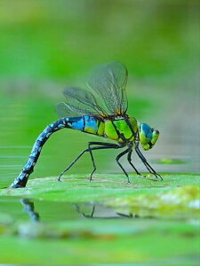 yN[|p10%OFFz hJLbg 5D _ChA[g r[YhJ  Ẵg{ S _ChyCeBOCeA  nhCh NXXeb` _CA