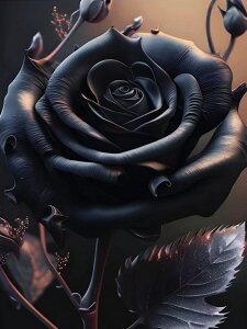 yN[|p10%OFFz hJLbg 5D _ChA[g r[YhJ o S _ChyCeBOCeA  nhCh NXXeb` _CAhA[