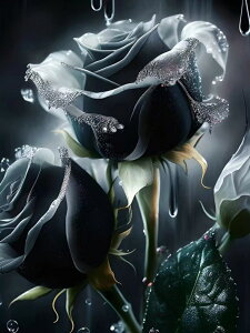 yN[|p10%OFFz hJLbg 5D _ChA[g r[YhJ o S _ChyCeBOCeA  nhCh NXXeb` _CAhA[