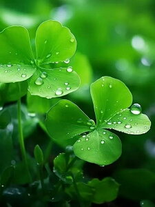 y10%OFFN[|zzz hJLbg 5D _ChA[g Lbg r[YhJ t i S _ChyCeBOCeA  Ǐ nhCh NXXeb