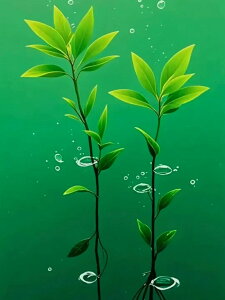 y10%OFFN[|zzz hJLbg 5D _ChA[g Lbg r[YhJ t i S _ChyCeBOCeA  Ǐ nhCh NXXeb