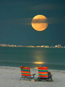 y10%OFFN[|zzz hJLbg 5D_ChA[g Lbg r[YhJ Cl̕i S 5D_Ch yCeBOCeA  nhCh NXXeb` _C