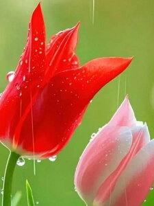 y10%OFFN[|zzz  hJLbg 5D_ChA[g Lbg r[YhJ  `[bv S _ChyCeBOCeA  nhCh NXXeb` 