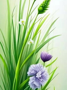 y10%OFFN[|zzz hJLbg 5D_ChA[g Lbg r[YhJ  i S 5D_Ch yCeBOCeA  nhCh NXXeb` _CA