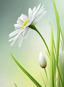 y10%OFFN[|zzz hJLbg 5D_ChA[g Lbg r[YhJ  i S 5D_Ch yCeBOCeA  nhCh NXXeb` _CA