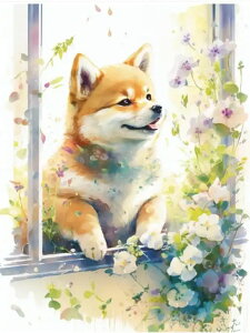 y10%OFFN[|zzz hJLbg 5D _ChA[g r[YhJ    S _ChyCeBOCeA  nhCh NXXeb` _CA