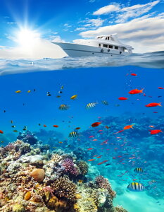 yN[|p10%OFFz  hJLbg 5D_ChA[g Lbg r[YhJ i C S _ChyCeBOCeA  nhCh NXXeb` _CA