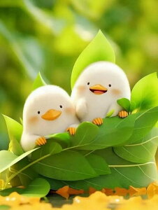 y10%OFFN[|zzz hJLbg 5D _ChA[g Lbg r[YhJ Aq S _ChyCeBOCeA  nhCh NXXeb` _