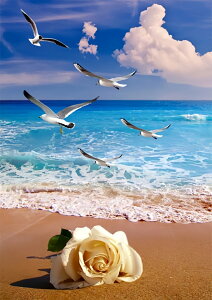 y10%OFFN[|zzz hJLbg 5D_ChA[g Lbg r[YhJ i S 5D_Ch yCeBOCeA  nhCh NXXeb` _CA