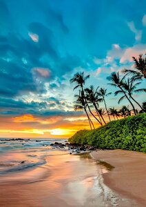 y10%OFFN[|zzz hJLbg 5D_ChA[g Lbg r[YhJ i S 5D_Ch yCeBOCeA  nhCh NXXeb` _CA