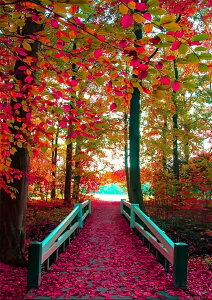 y10%OFFN[|zzz hJLbg 5D_ChA[g Lbg r[YhJ i S 5D_Ch yCeBOCeA  nhCh NXXeb` _CA