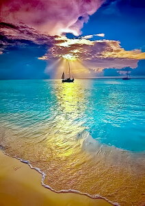 y10%OFFN[|zzz hJLbg 5D_ChA[g Lbg r[YhJ i S 5D_Ch yCeBOCeA  nhCh NXXeb` _CA