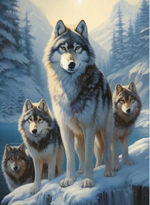 yN[|p10%OFFz hJLbg 5D _ChA[g Lbg r[YhJ T S _ChyCeBOCeA  nhCh NXXeb` _CA