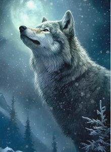 yN[|p10%OFFz hJLbg 5D _ChA[g Lbg r[YhJ T S _ChyCeBOCeA  nhCh NXXeb` _CA