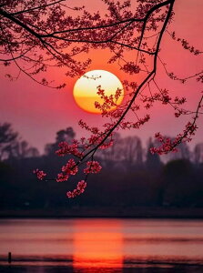  hJLbg 5D_ChA[g Lbg r[YhJ i 䂤 S 5D_Ch yCeBOCeA  nhCh NXXeb` _CAhA[g} 