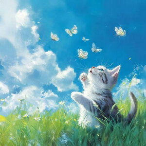 yN[|p10%OFFz hJLbg 5D _ChA[g r[YhJ 킢L S _ChyCeBOCeA  nhCh NXXeb` _CAh