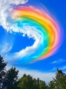 yN[|p10%OFFz 5D_ChA[g Lbg r[YhJ i hJLbg S 5D_Ch yCeBOCeA nhCh NXXeb` _CAhA