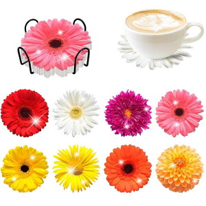 y13-18IN[|p15%OFFz hJLbg 5D _ChA[g R[X^[ _ChA[g Lbg r[YhJ S _ChyCeBOCeA nhC