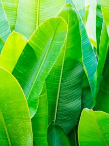 y10%OFFN[|zzz _ChA[g t 5DhJ r[YG _ChG DIY  _ |Lbg Ǐ } ȒP c[ l q  CeA