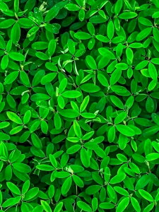 y10%OFFN[|zzz _ChA[g t 5DhJ r[YG _ChG DIY  _ |Lbg Ǐ } ȒP c[ l q  CeA