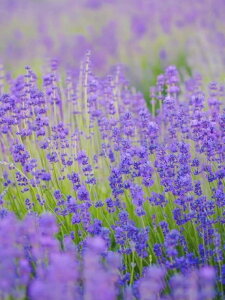 y10%OFFN[|zzz _ChA[g F̃x_[ 5DhJ r[YG _ChG DIY  _ |Lbg Ǐ } ȒP c[ l q  Ce