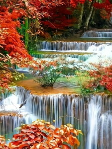 y10%OFFN[|zzz hJLbg5D_ChA[g Lbg r[YhJ H i S 5D_Ch yCeBOCeA nhCh NXXeb` _CAh