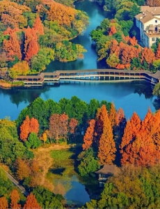 y10%OFFN[|zzz hJLbg5D_ChA[g Lbg r[YhJ H i S 5D_Ch yCeBOCeA nhCh NXXeb` _CAh