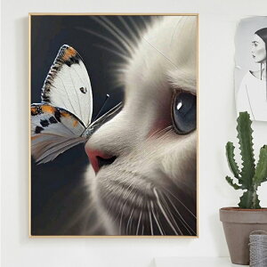 yN[|p10%OFFz hJLbg 5D Lƒ _ChA[g Lbg r[Y _ChyCeBOCeA  nhCh NXXeb` _CAhA[g30x