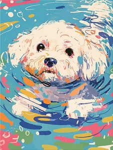 yN[|p10%OFFz hJLbg 5D _ChA[g r[YhJ  S _ChyCeBOCeA  nhCh NXXeb` _CAhA