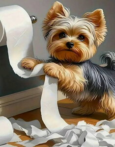 yN[|p10%OFFz hJLbg 5D _ChA[g r[YhJ    S _ChyCeBOCeA  nhCh NXXeb` _CA