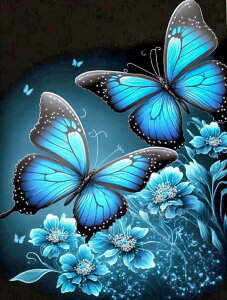 y10%OFFN[|zzz hJLbg 5D_ChA[g Lbg r[YhJ i  傤 S 5D_Ch yCeBOCeA nhCh NXXeb` _C