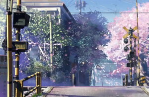 y10%OFFN[|zzz hJLbg 5D_ChA[g r[YhJ i S 5D_Ch yCeBOCeA  nhCh NXXeb` _CAhA[